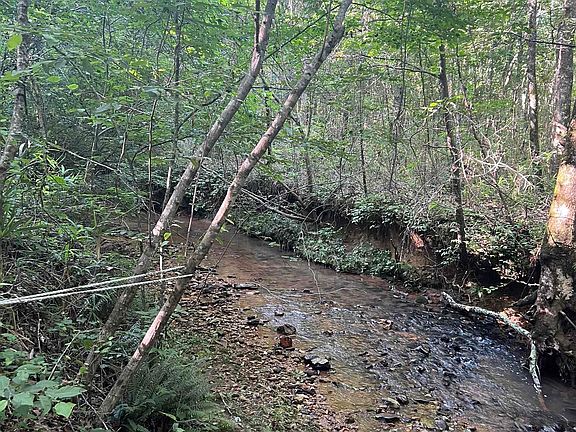 2nd image of 0 County Road 639 #1