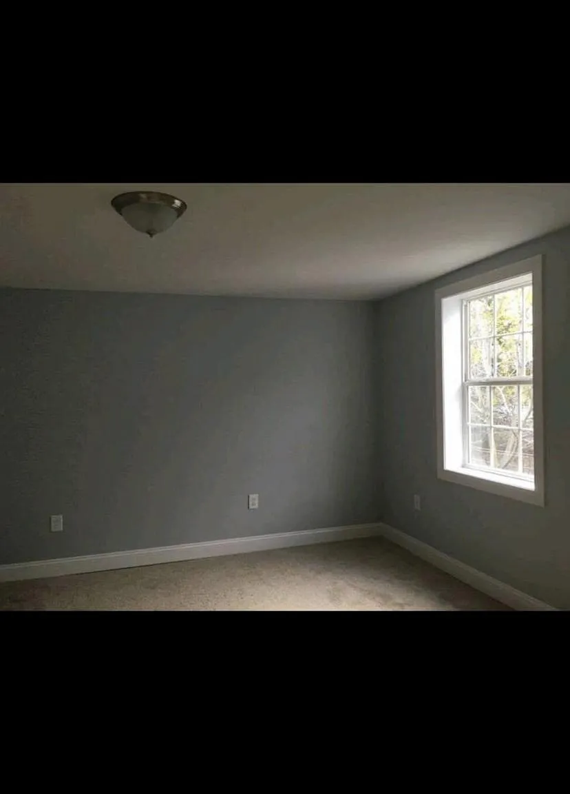 2 bed, 1000 sqft, $1,150 — Photo 3