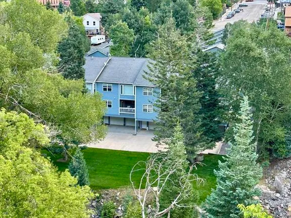 114 Spruce Court, Ouray, CO 81427