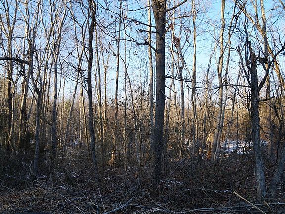 3rd image of 17160 L P Bailey Memorial Hwy