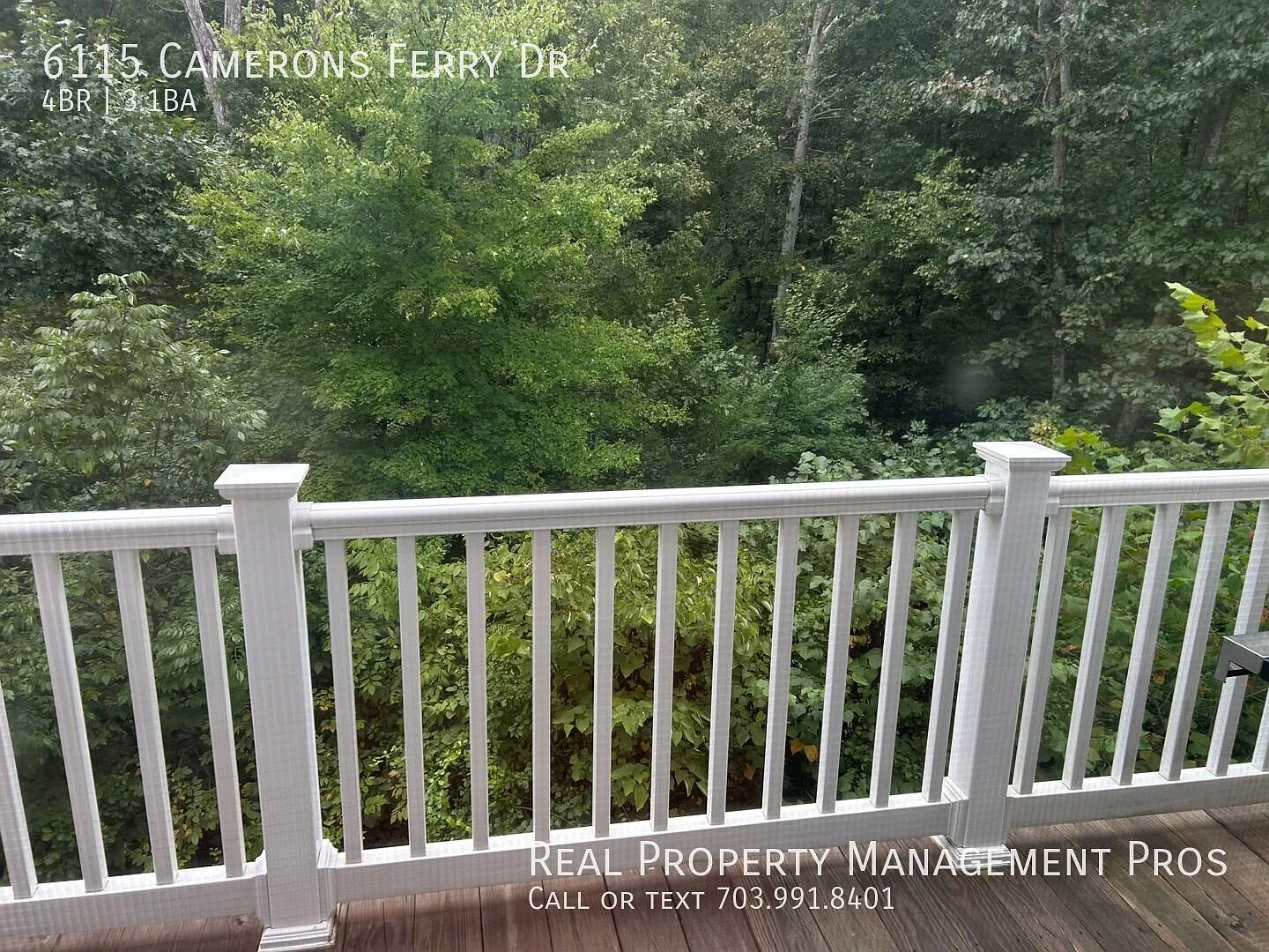 Back to trees-Qualify for a zero deposit? — Photo 3