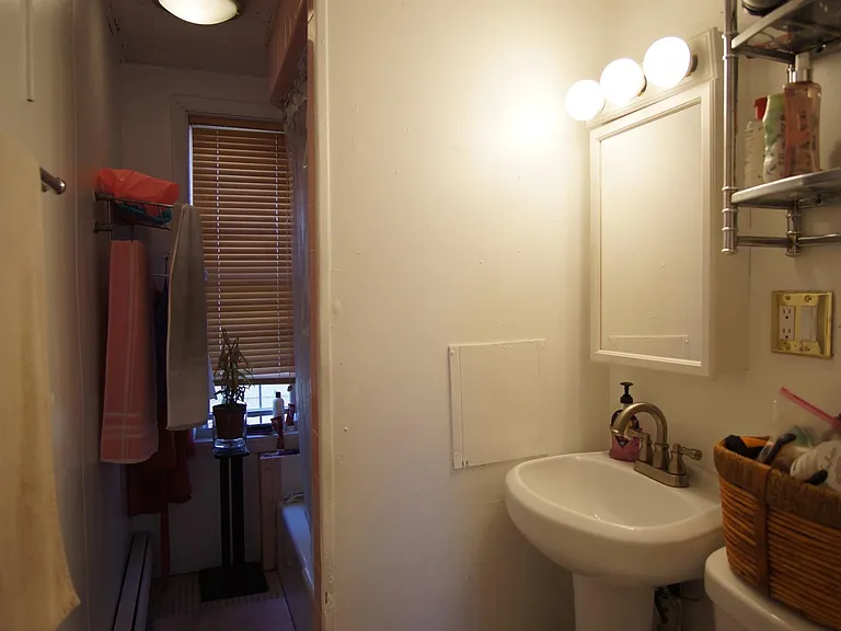 48 America St #2R — Photo 10