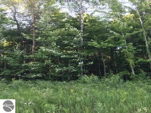 North St, Thompsonville, MI 49683