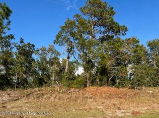 0 Trumbull Dr, Spring Hill, FL 34609