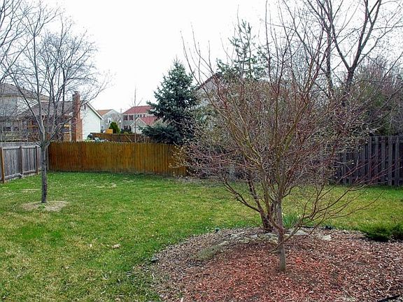 Rear Yard