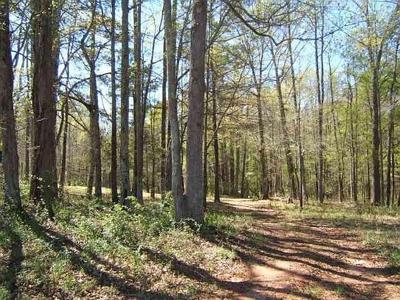 5th image of 215 River Meadow Ln