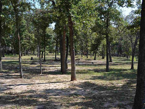 2nd image of 0 County Road 3640