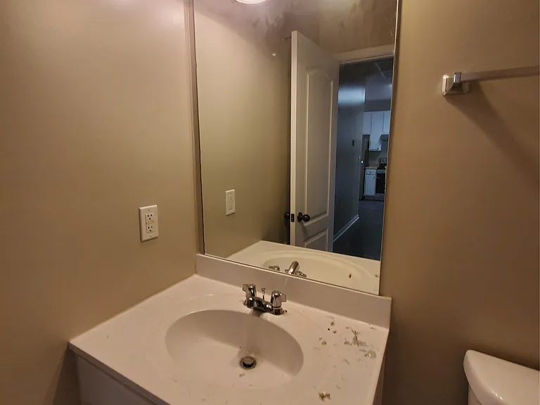 239 Pine Meadow Cir — Photo 7