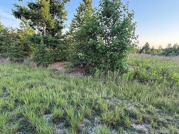 5th image of 140 Groundhog Ln
