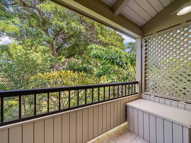 Wailea Ekolu Pl — Photo 29