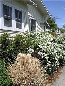 3rd image of 926 S 34th St
