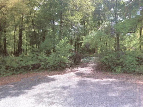 315 Georgian Ter, Midland City, AL 36350