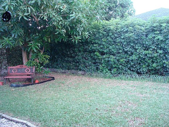 Back yard after 1 year of purchase