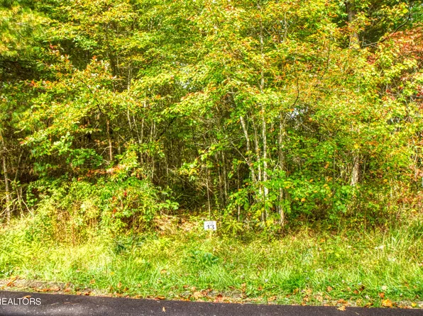 LOT 13 Old Mount Helen Rd, Allardt, TN 38504