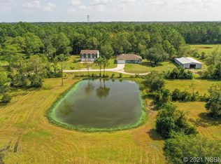 889 Tater Rd, New Smyrna Beach, FL 32168