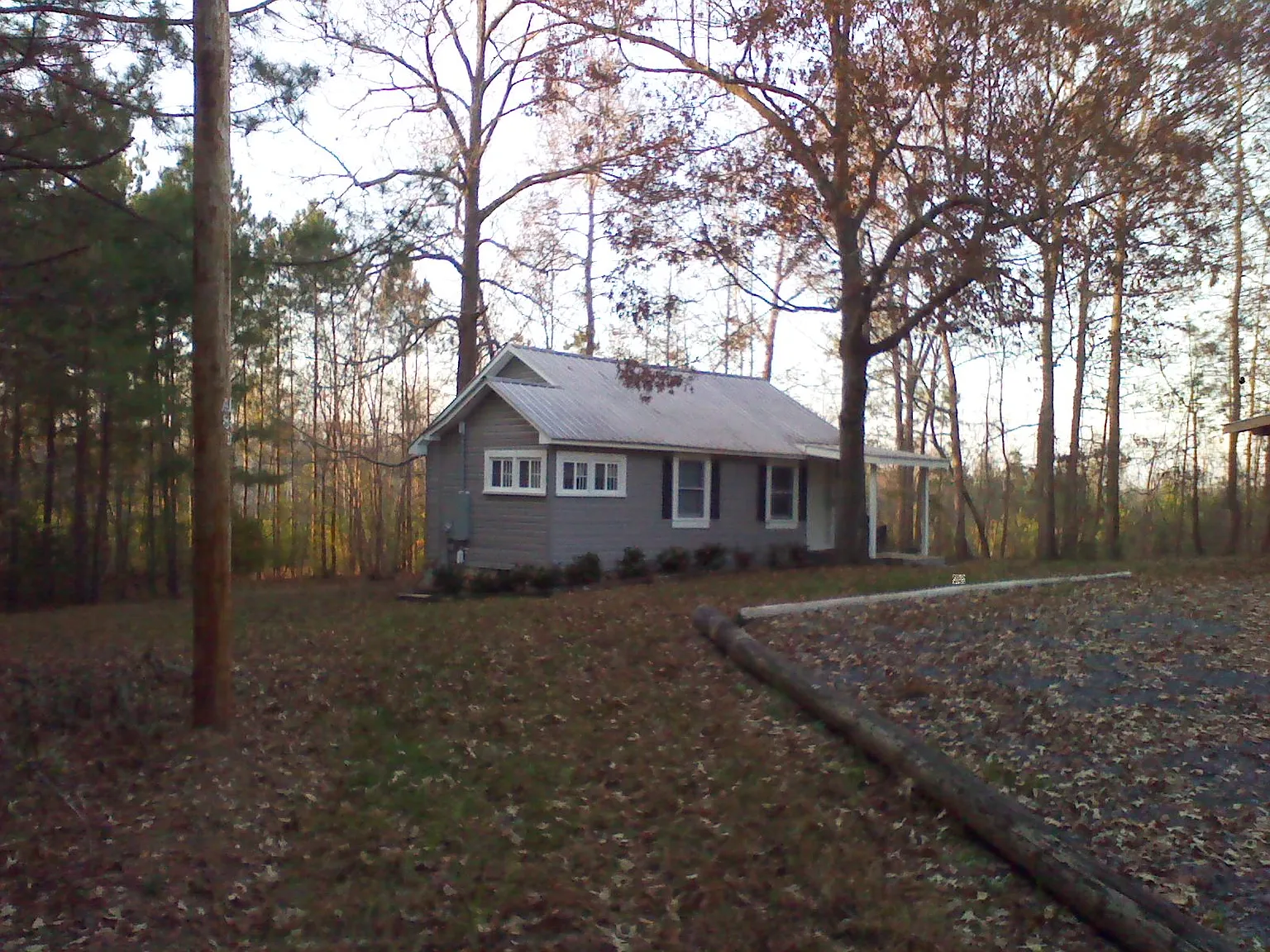 1 bed, 800 sqft, $975 — Photo 2