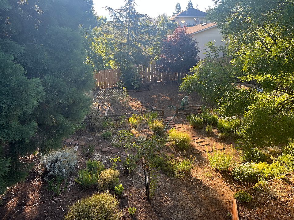 View of garden