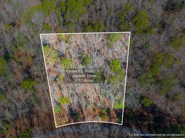 LOT 117 Jumper Dr, Ellijay, GA 30540