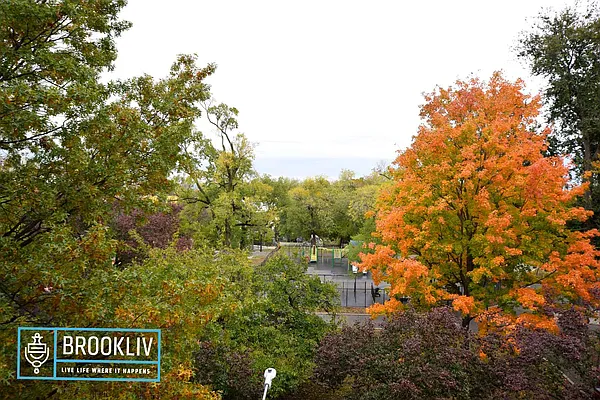 Rented by null | media 44