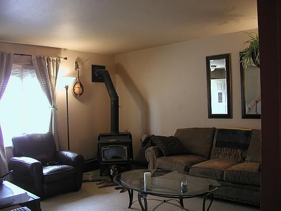 Living/Wood Burning Stove