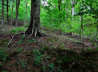 4 Cedar Hill Rd, White Bluff, TN 37187