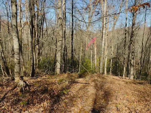 0 Gove Rd, Sautee Nacoochee, GA 30571