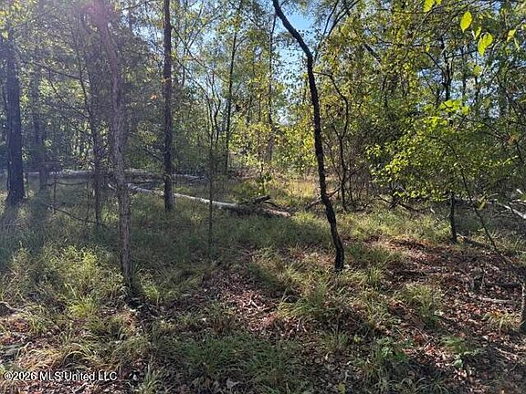3rd image of Old Fannin Rd