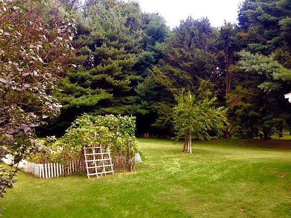 Large, level private yard