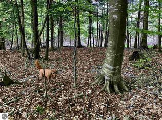 N Overlook Rd, Northport, MI 49670