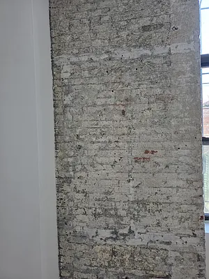 Rented by Garden Management | media 22