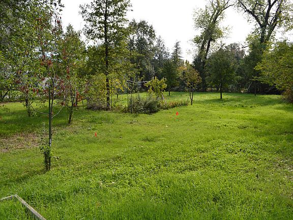 4th image of 1965 Branstetter Ln