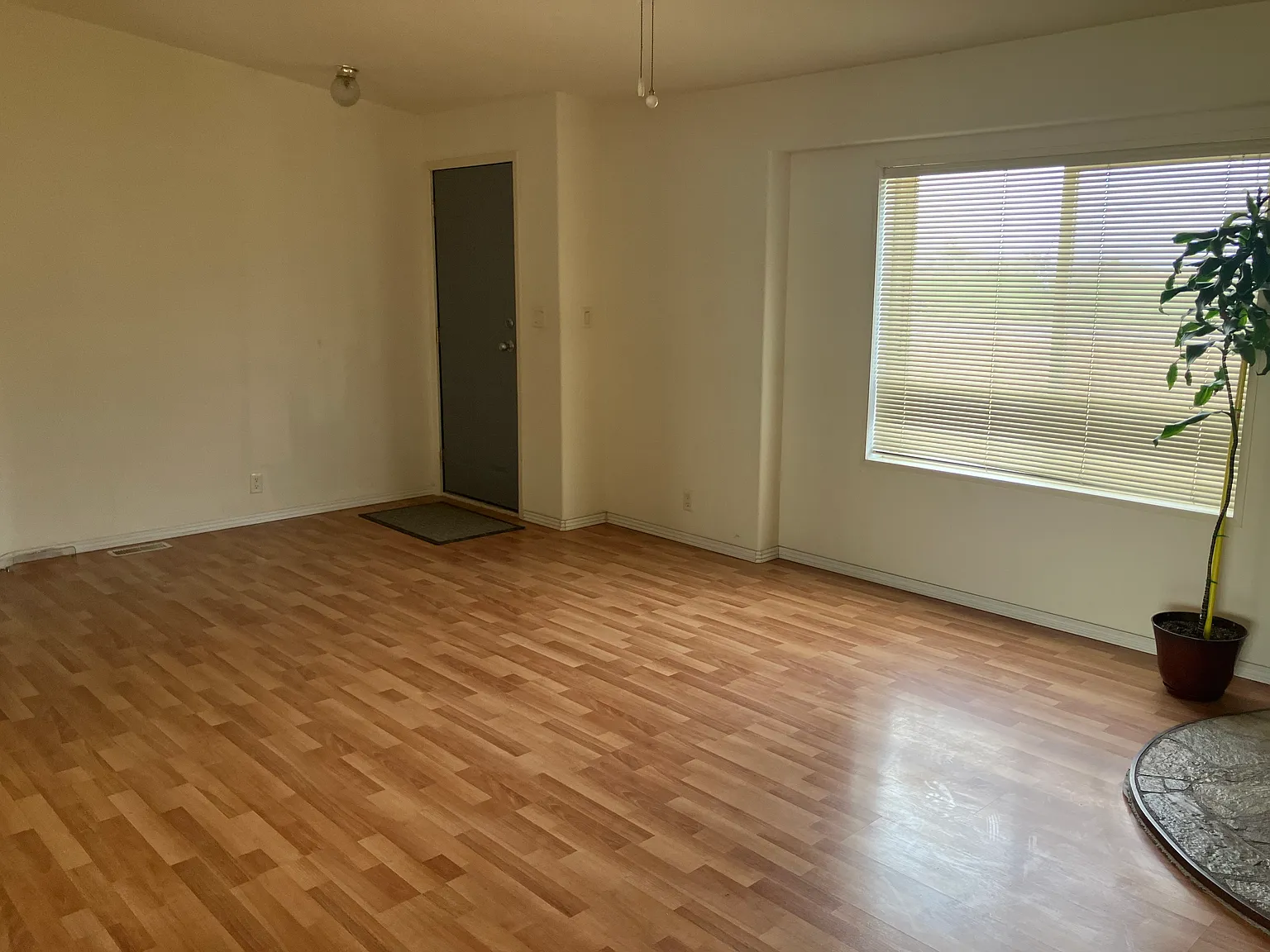 3 bed, 1456 sqft, $1,650 — Photo 3