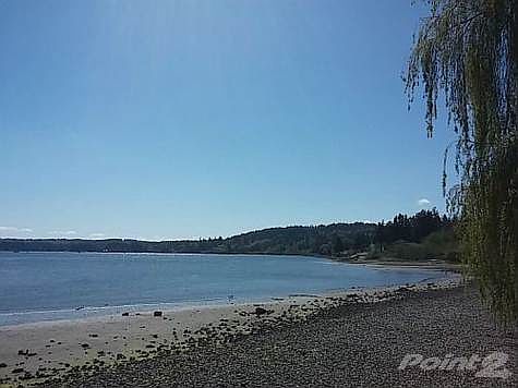 cam06254_w500_h375
