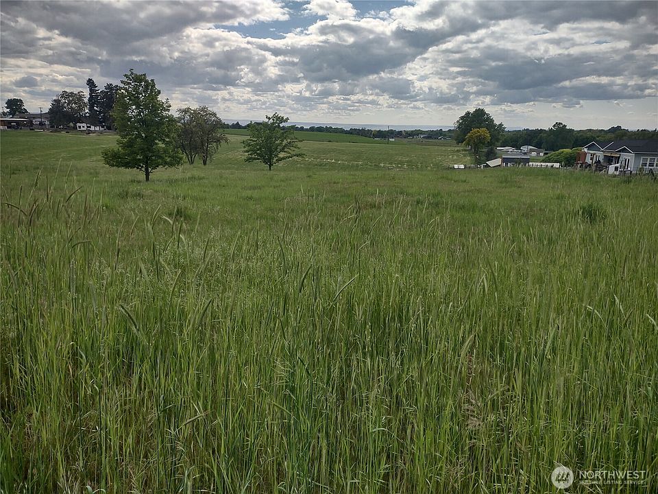 2nd image of 1995 Rooster Road
