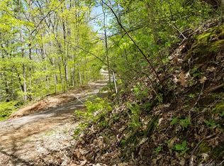 21 Candyland Ct, Candler, NC 28715