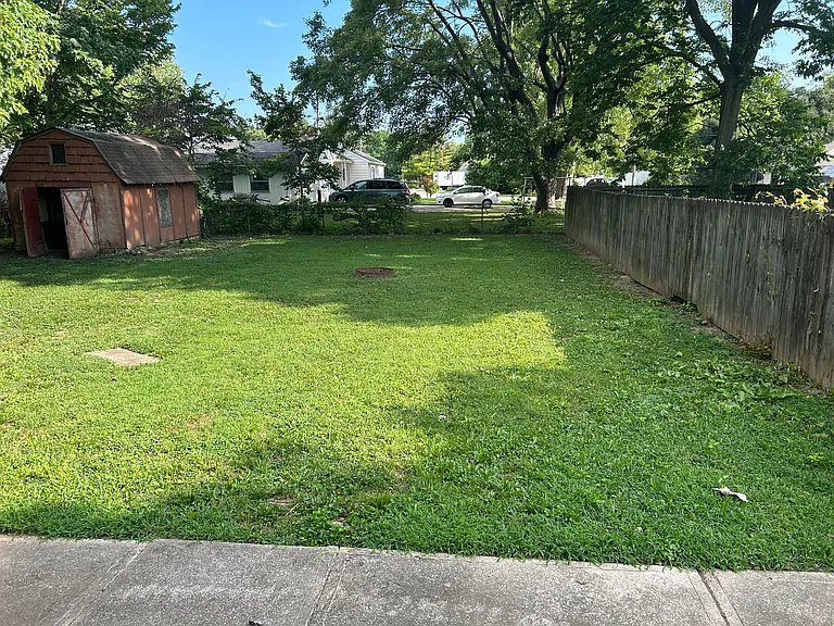 Back yard
