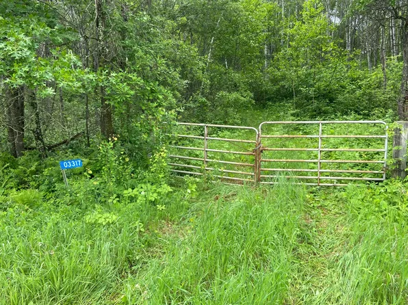 3317 4th St SW, Backus, MN 56435