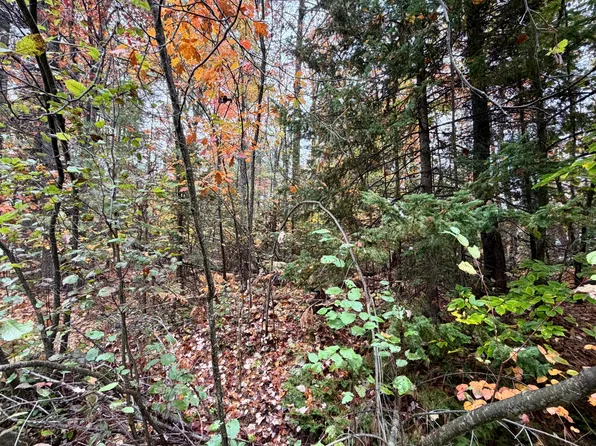 4962 Chamberlain Rd, Cheboygan, MI 49721