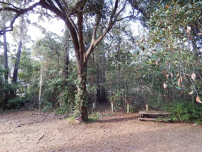 520 Pasco Ct — Photo 23