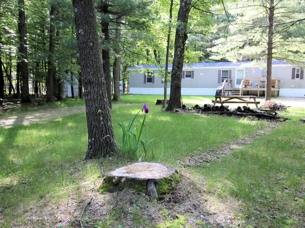 7366 N Centerline Rd, Brohman, MI 49312