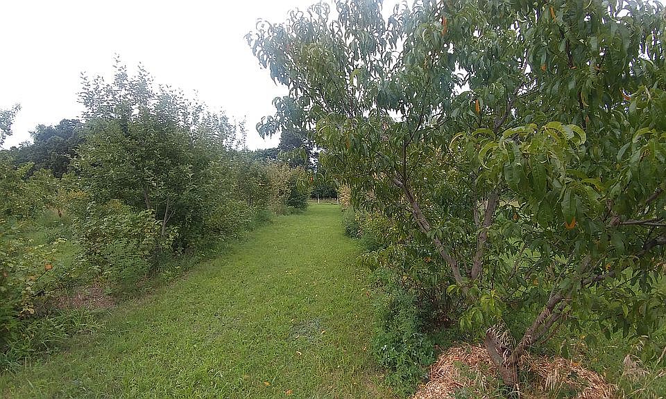 2nd image of 71269 Bauman Rd