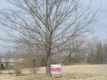 1st image of 3160 Ray Dr