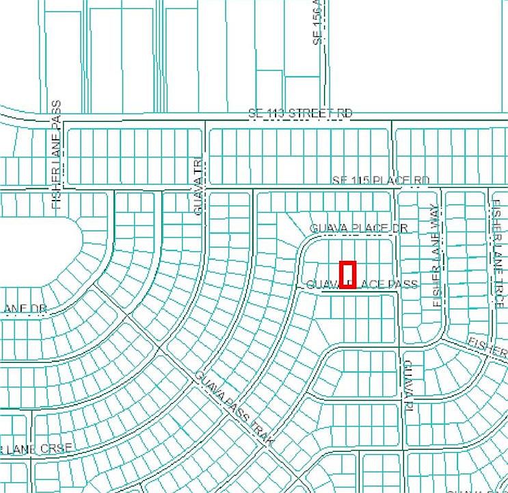 2nd image of 000 Guava Place Pass