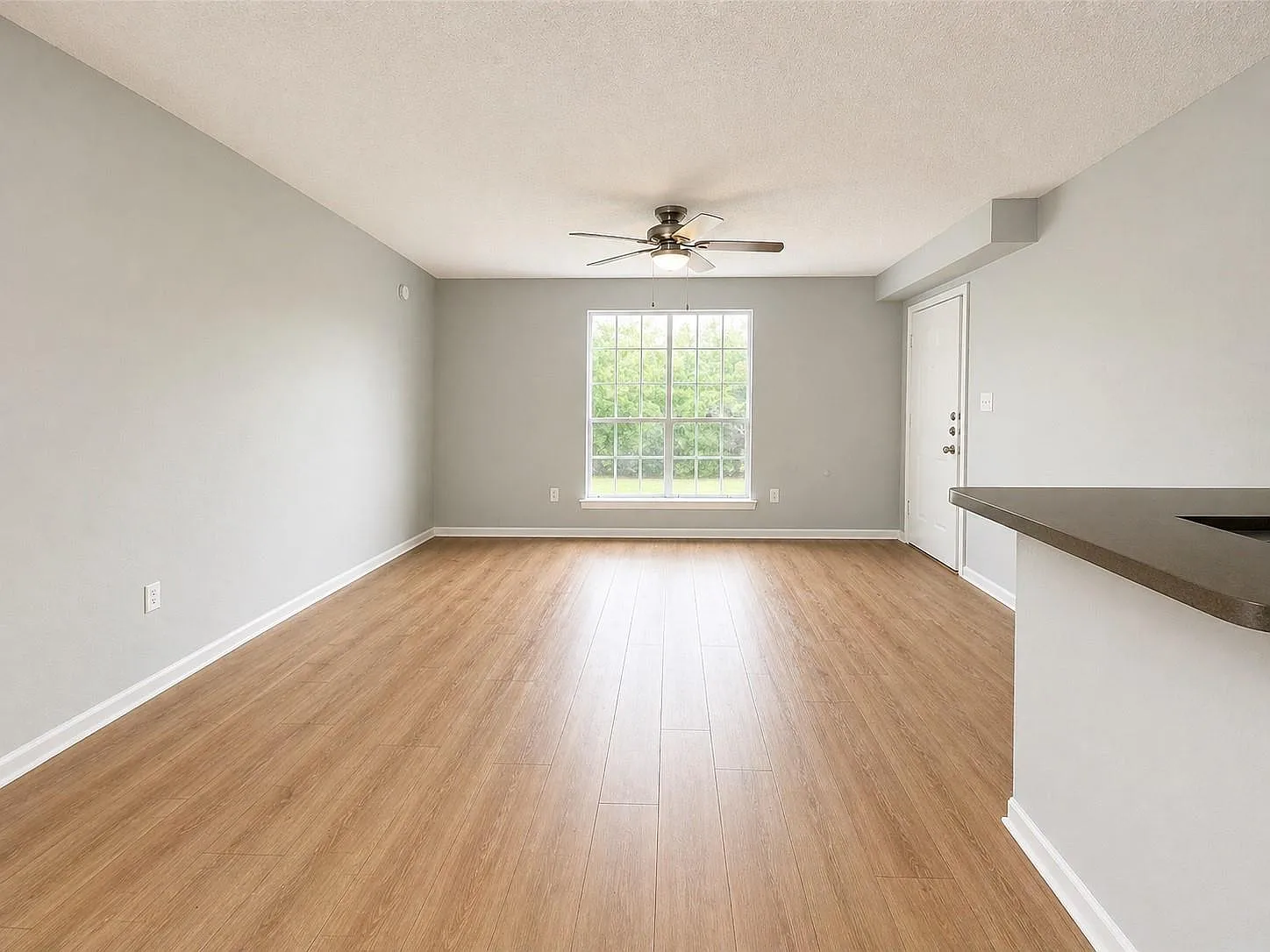 2 bed, 1.0 bath, 800 sqft, $900 — Photo 3