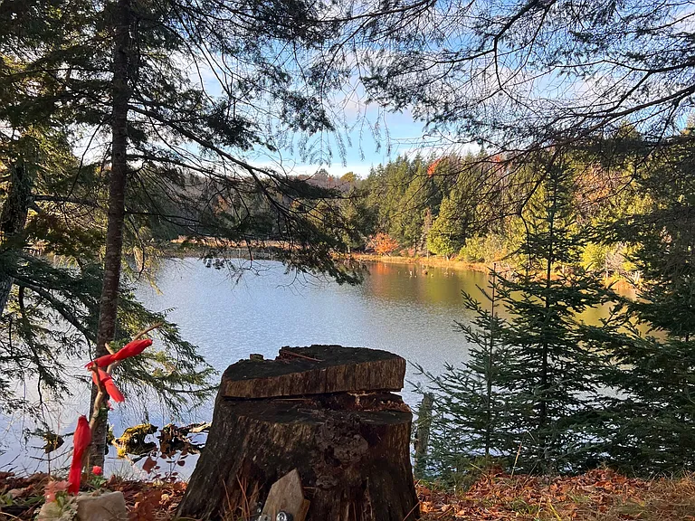 northern view from the cottage fairy tree house #michiganvacationrental