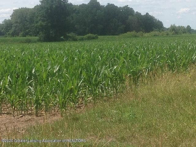 2nd image of 0 E Ridge Rd
