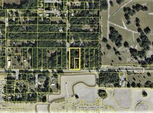 3029 County Road 507, Wildwood, FL 34785