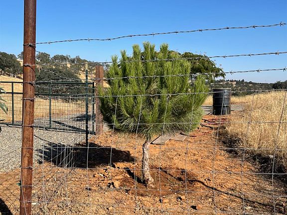 3rd image of 8687 Las Cruces