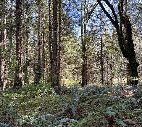 3rd image of 16230 Agate Pass Road LOT B