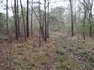 143 Dixon Ln, Cordesville, SC 29434